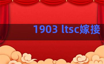 1903 ltsc嫁接